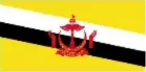 Brunei flag